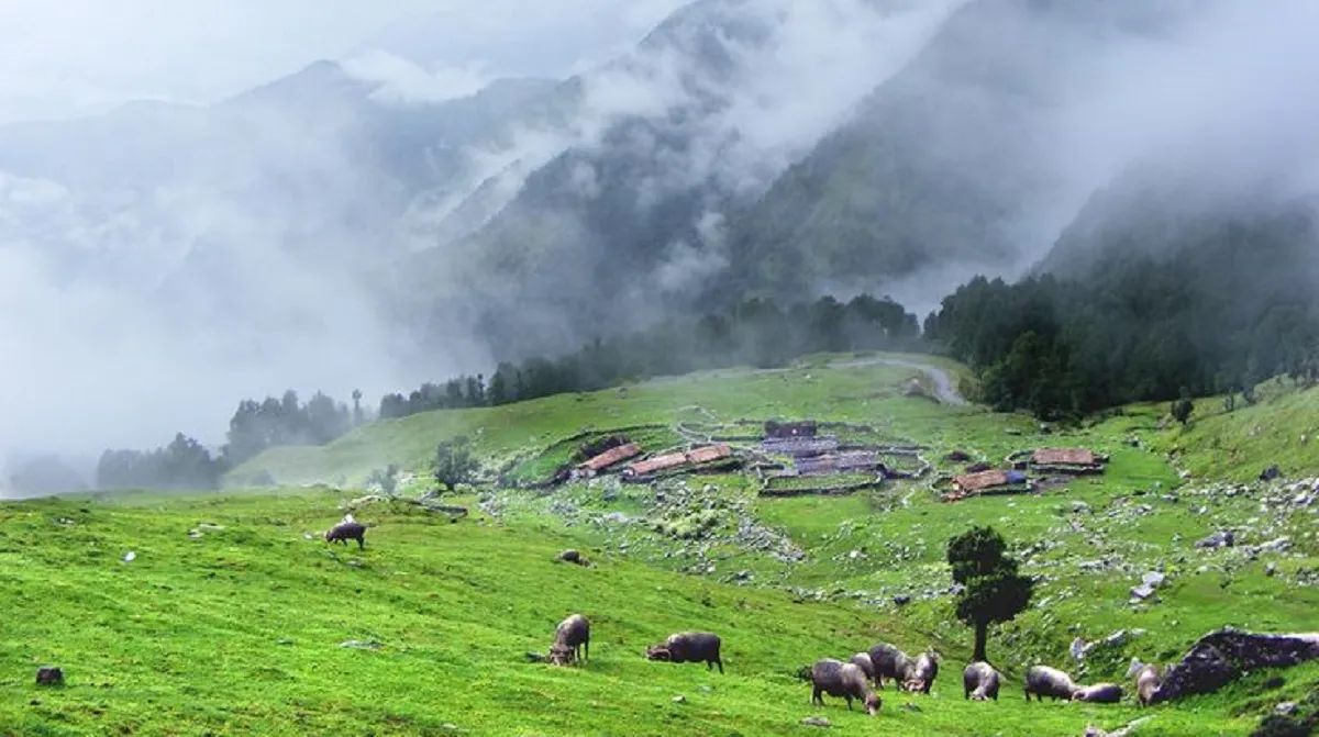 chopta valley in uttarakhand