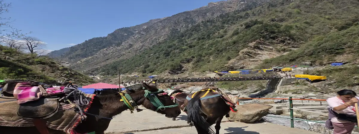 kedarnath pony services from gaurikund to kedarnath temple