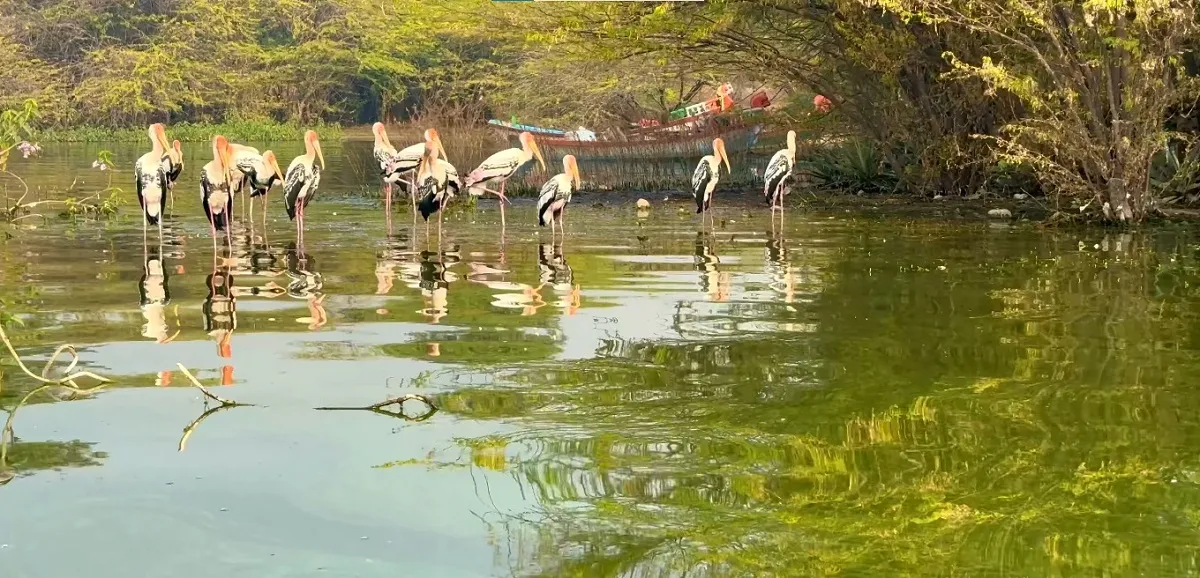 bhima river in bhimashankar