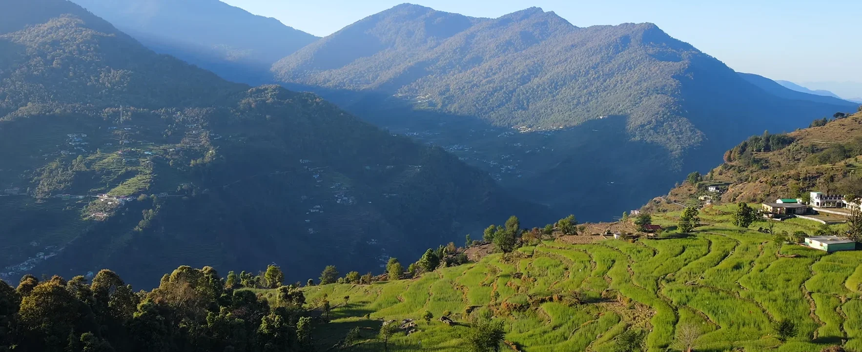 chopta image