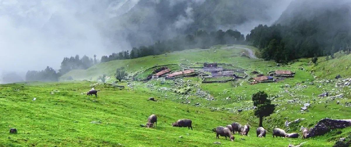 chopta valley in uttarakhand image