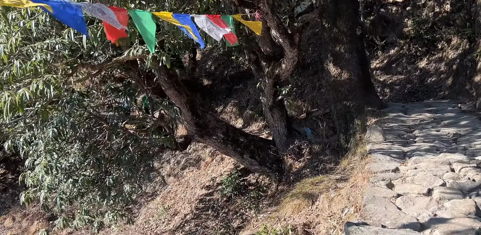 deoria tal trek route image