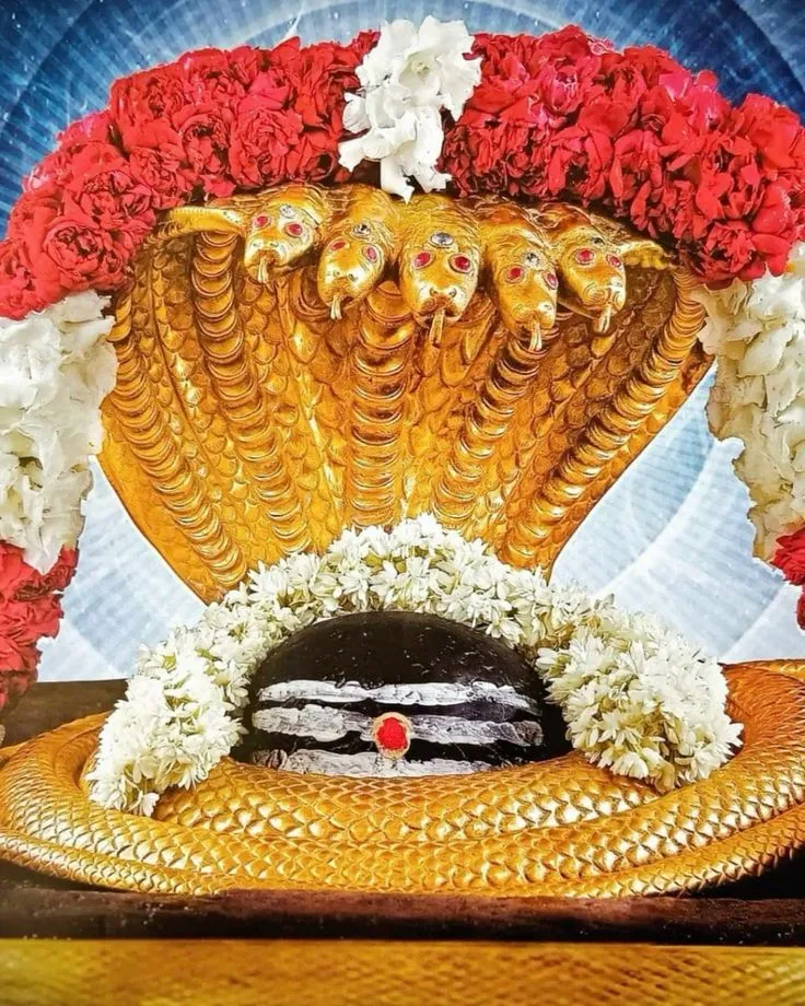 mallikarjuna jyotirlinga photo
