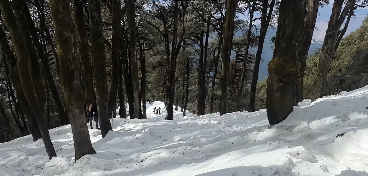 nag tibba winter trek