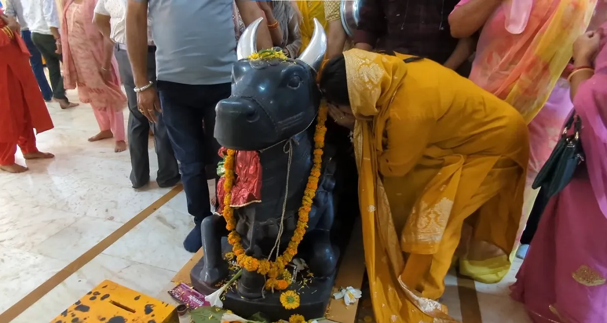 nageshwar image